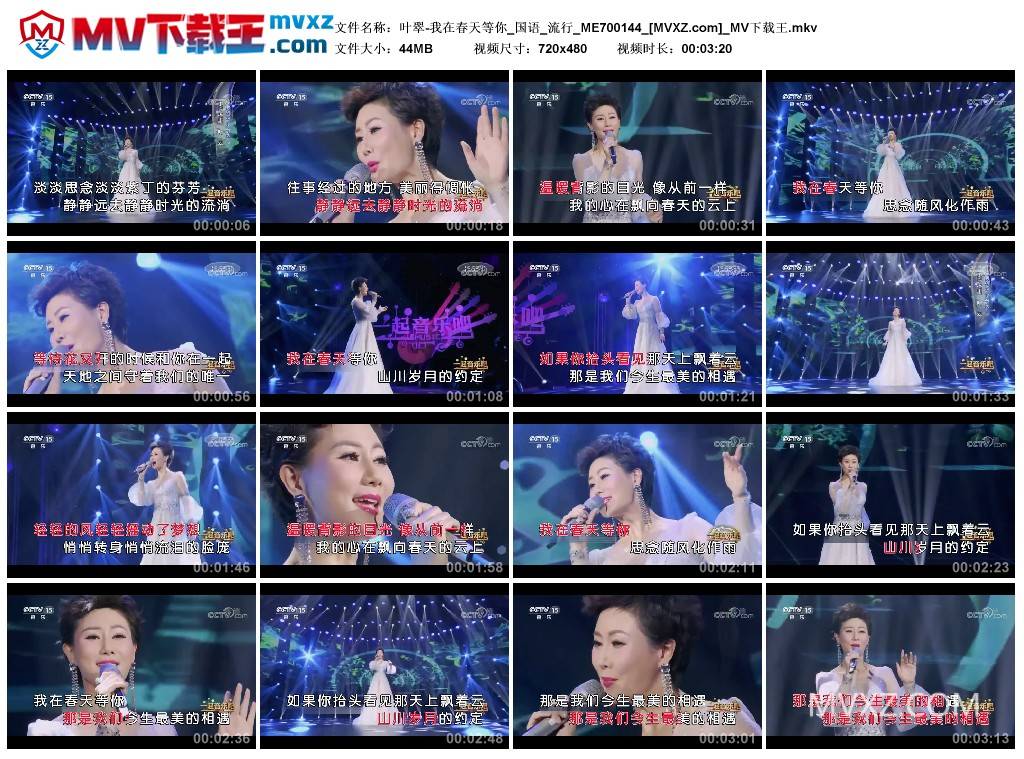 叶翠-我在春天等你_国语_流行_ME700144